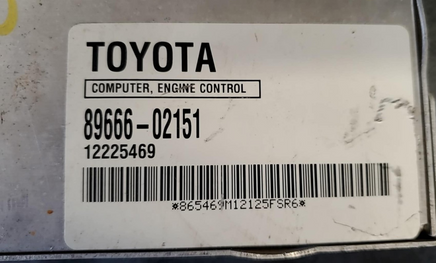 44995943