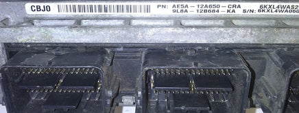 44812807