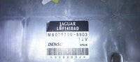 44341461