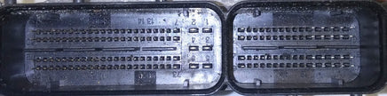 44862004