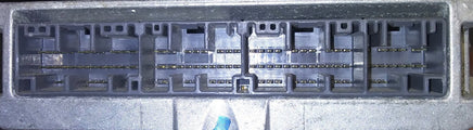 44804457