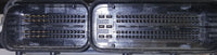 44204486