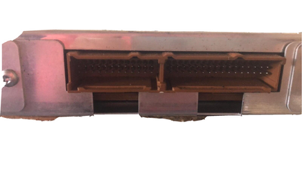 44801561