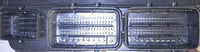 46167881