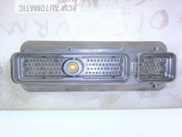44800420