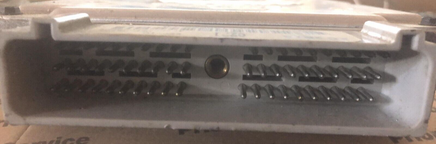 44810031