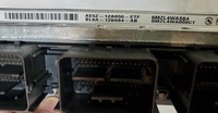 44800489