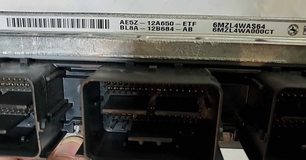 44800489