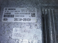 44804131