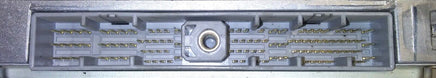 44261024