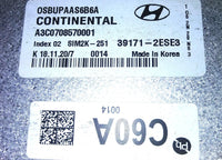 45431204