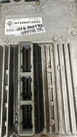 45431196