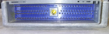 44804995