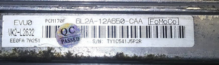 43895231
