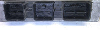 8W7A-12A650-SB ecm ecu computer 2008 Ford Crown Vic **TESTED** - Swan Auto