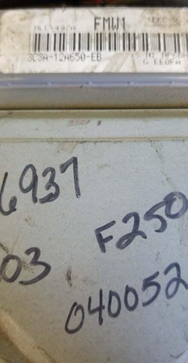 2003 Ford Truck ecm ecu computer 3C3A-12A650-EB **tested** - Swan Auto