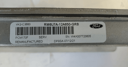 2006-2008 Ford Econoline van ecm ecu computer RM6U7A-12A650-GRB - Swan Auto