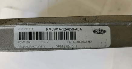 2006 Lincoln Town Car ecm ecu computer RM6W1A-12A650-ABA - Swan Auto