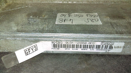 2009-2010 Ford F250 F350 ecm ecu computer 9C3A-12A650-BFD - Swan Auto
