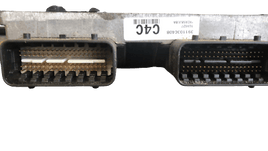 2009 Kia Sedona or Hyundai Entourage ecm ecu computer 39110-3C408 - Swan Auto