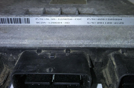 2010 Ford F150 F-150 ecm ecu computer AL3A-12A650-CGC - Swan Auto
