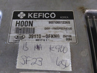2015 Kia K900 ecm ecu computer 39110-3FKN0 - Swan Auto