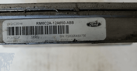 2066 Ford Econoline van ecm ecu computer RM6C2A-12A650-ABB **REMAN** - Swan Auto