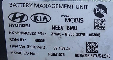 375A0-G1300 battery management control module 2022-2023 Hyundai Ioniq - Swan Auto