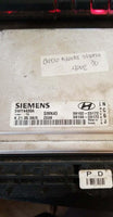 39102-23172 ecm ecu computer 2004-2006 Hyundai Elantra - Swan Auto