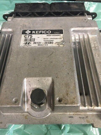 39131-2EGB0 Hyundai Elantra 2014 ecm ecu computer - Swan Auto