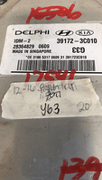 39172-3C010 Hyundai Azera 2012-2016 fuel injection control module - Swan Auto