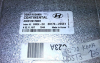39173-2ESE1 ecm ecu computer 2018-2020 Kia Kona - Swan Auto