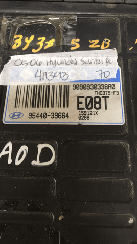95440-39664 Hyundai Santa Fe engine computer module 2005-2006 - Swan Auto