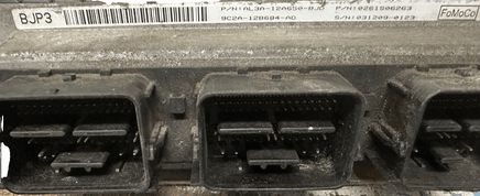 AL3A-12A650-BJD Ford F-150 F250 pickup ecu ecm computer 2010 **Tested** - Swan Auto