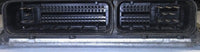 MEC33-305 ecm ecu computer 2004 Nissan Sentra - Swan Auto